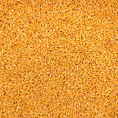 Soft-White-Wheat-Berries