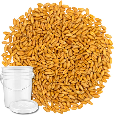 Soft-White-Wheat-Berries